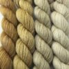 Artyarns Gradients Kit (Golds)