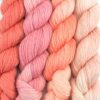 Artyarns Gradients Kit (Peach Blossom)