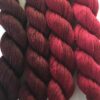 Artyarns Gradients Kit (Reds)