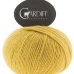 683 Kaori (Split Pea)
