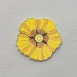 Gerbera Daisy