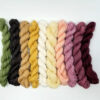 Jade Sapphire Casmere Coloring Box (High Tea)