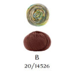 Colorway B