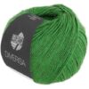 Lana Grossa Diversa – 19 Green