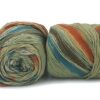 Trendsetter Celebrate – 4163 Whirlwind