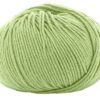 Trendsetter Merino 6 – 5282 Light Avocado