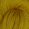 Symfonie Flora – Marigold OR1003