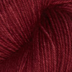 Dried Chiles SS2009