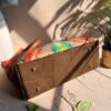 Atenti Buddy – Bottom