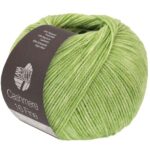 54 Pistachio