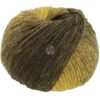 Lana Grossa Cool Merino Degrade – 301 Olives