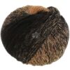 Lana Grossa Cool Merino Degrade – 310 Browns