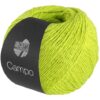 Lana Grossa Campo – 11 Kiwi