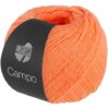 Lana Grossa Campo – 14 Peach