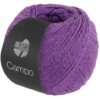 Lana Grossa Campo – 19 Purple