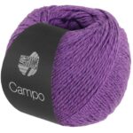 19 Purple