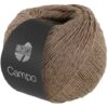 Lana Grossa Campo – 23 Taupe