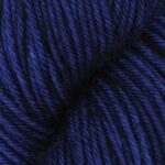 Delhi Blue SS4007
