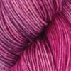 Symfonie Terra – Autumn Rose VR2020