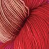 Symfonie Terra – Rhubarb VR2022