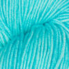 Symfonie Viva – Aqua Ice SS1011
