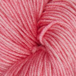 Camellia SS1046