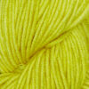 Symfonie Viva – Citrus SS1036