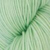 Symfonie Viva – Lime Fizz SS1052