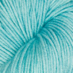 Mint SS1010