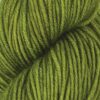Symfonie Viva – Rain Forest SS1058