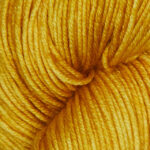 Turmeric SS1039