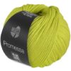 Lana Grossa Promessa – 11 Kiwi